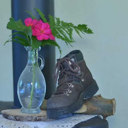 Ferienhaus Niedernsill Dağ evi