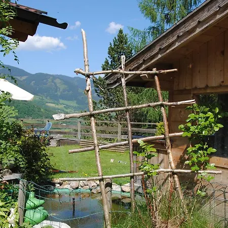 Dağ evi Ferienhaus Niedernsill