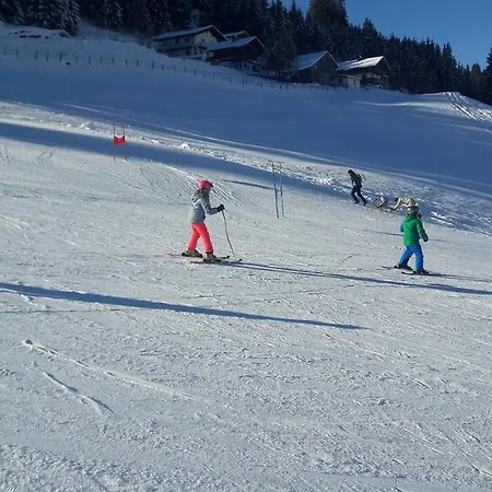 Ferienhaus Niedernsill Alpehytte