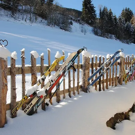 Ferienhaus Niedernsill Alpehytte