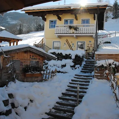 Chalet Ferienhaus Niedernsill