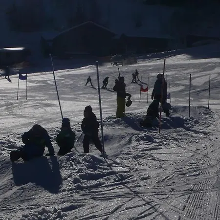Dağ evi Ferienhaus Niedernsill Niedernsill