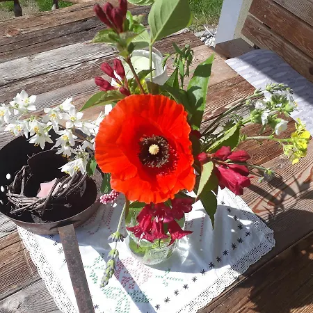 Ferienhaus Niedernsill