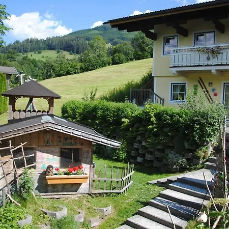 Ferienhaus Niedernsill Dağ evi