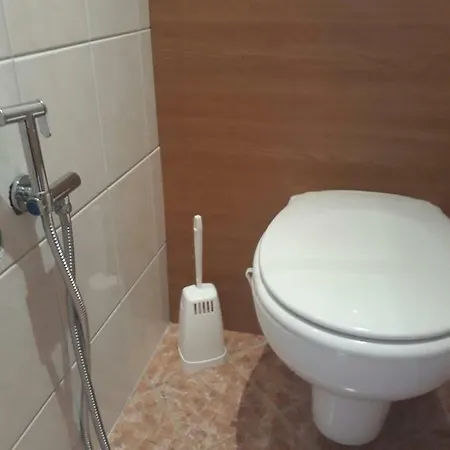 Ferienhaus Niedernsill Dağ evi