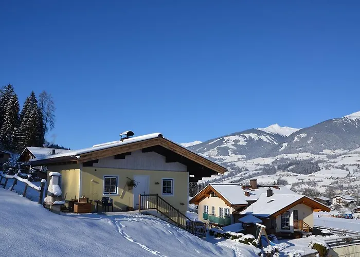 Ferienhaus Niedernsill Chalet *