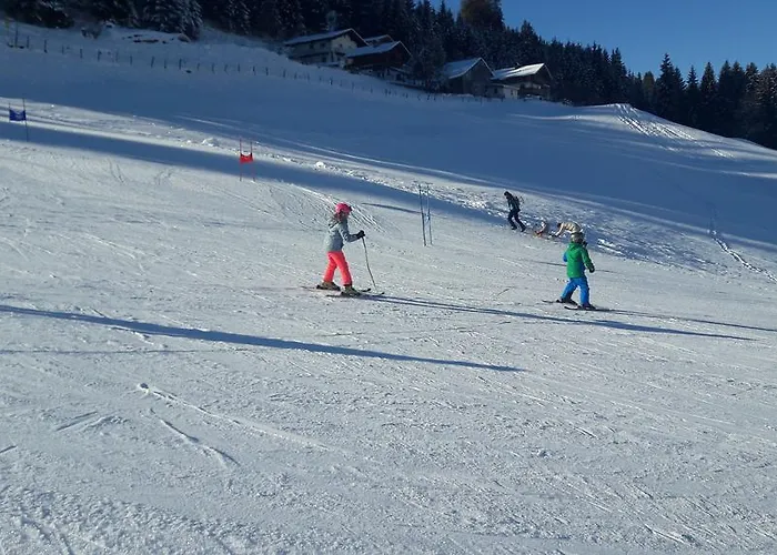 Ferienhaus Niedernsill Chalet