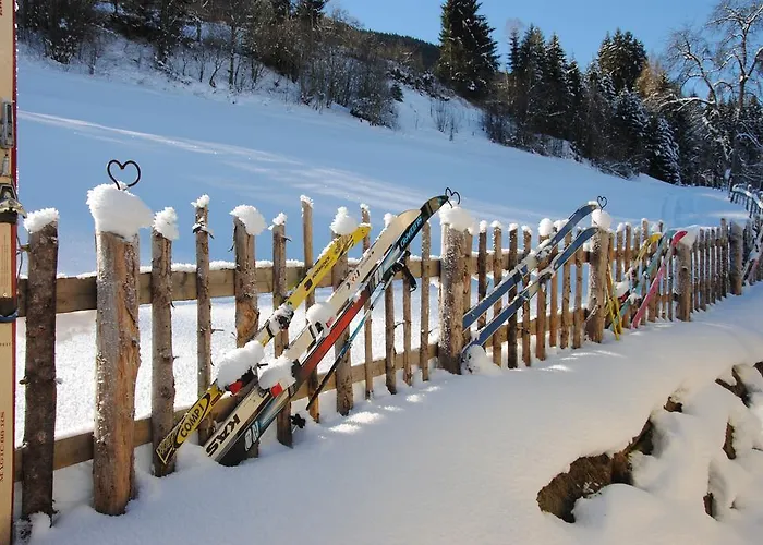 Ferienhaus Niedernsill Chalet